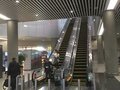 -温州龙湾国际机场