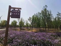 -怀来官厅水库