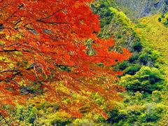-叠溪松坪沟景区
