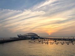 -苏州东太湖生态园