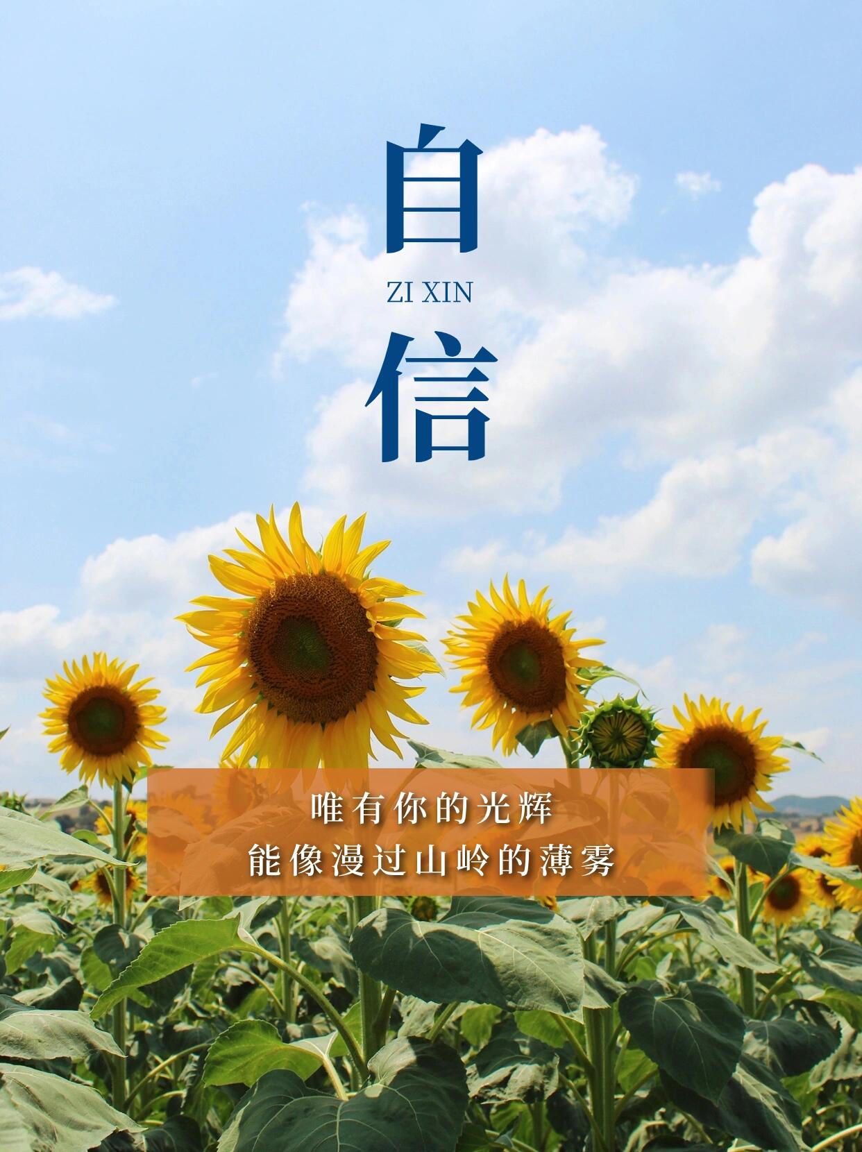信念跟信仰的区别在哪(信念和信仰是一个意思吗)
