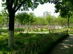 景点-丰台科技园生态主题公园