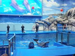 -福州罗源湾海洋世界旅游区