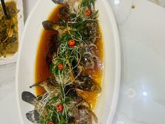 -驻海渔市(置信店)