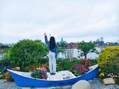 -荷兰花海