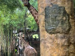 -长鹿旅游休博园