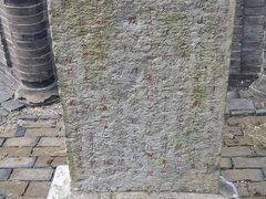 -上海佘山国家森林公园天马山园