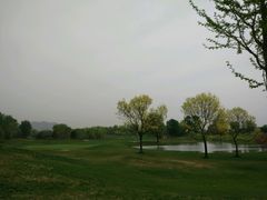 -北京京辉高尔夫俱乐部有限公司