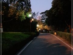 -八仙山公园
