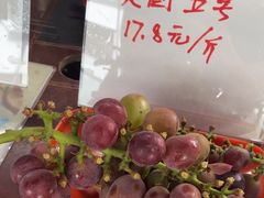 -马陆小张葡萄园农家乐