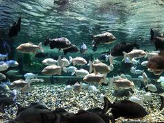 -成都浩海立方海洋公园