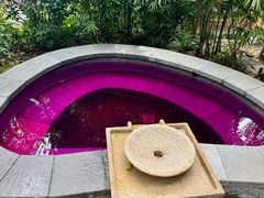 -融汇温泉