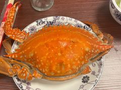 飞蟹-日丰园海肠水饺·老字号大连海鲜(小平岛总店)