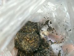-叶氏麻糍(鼓浪屿店)