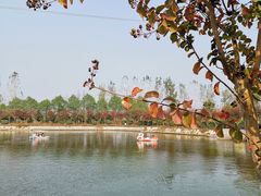 -武汉紫薇都市田园