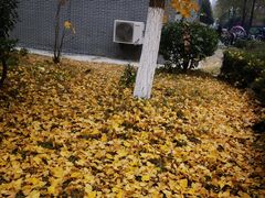 -USTC1958东区·by UNILAB