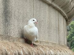 -音乐台