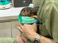 -萌兽医馆·眼科·异宠专科(三里屯店)