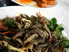 -顺德美食坊(南沙分店)