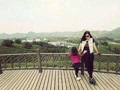 -帐篷客·溪龙茶谷度假酒店