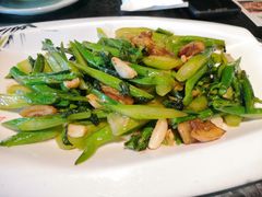 -鹅城粤菜馆(白云山路店)