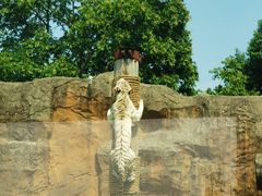 -杭州野生动物世界