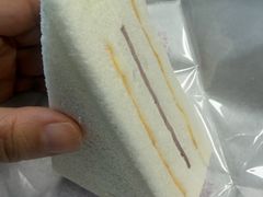 -洪瑞珍三明治(忠孝店)