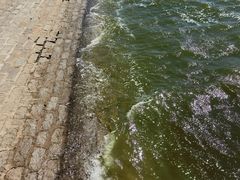 -天津金海湖