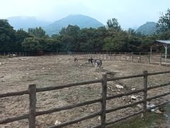 -西安秦岭野生动物园