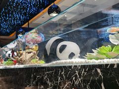 -红辣椒·川菜·火锅(大洋中心店)
