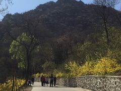 -北京鹫峰国家森林公园