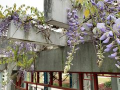 -沙市市中山公园