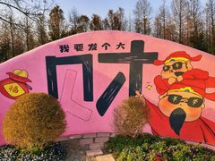 -荷兰花海
