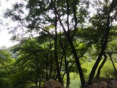 -雅鲁激流探险漂流