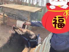 -1982农场