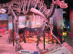 -正佳自然科学博物馆