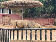 -泉州海丝野生动物世界