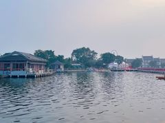 -鹅湖玫瑰文化园
