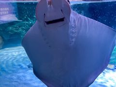 -沈阳海洋探索中心