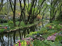 -上海共青森林公园