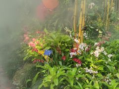 -中国科学院西双版纳热带植物园