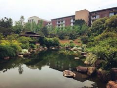 -杭州国际会议中心洲际酒店-原素全日餐厅(解放东路店)