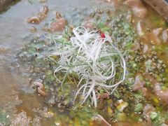 -写庭·鱼鲜川菜·宴请(铁像寺水街店)