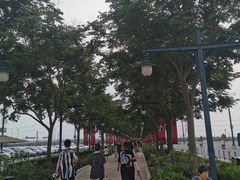 -迪士尼乐园停车场
