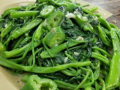 椒丝腐乳通菜-贞姨美食·老字号海鲜大排档