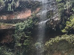-沐川竹海旅游景区