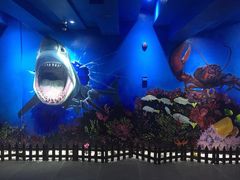 船奇蒸汽海鲜-船奇蒸汽海鲜·闽菜(八市海鲜总店)