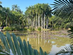 -中国科学院西双版纳热带植物园
