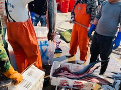 -青岛沙子口国家中心渔港