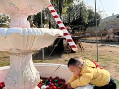 -HERRE·FARM 赫尔露营农场·团建聚会包场